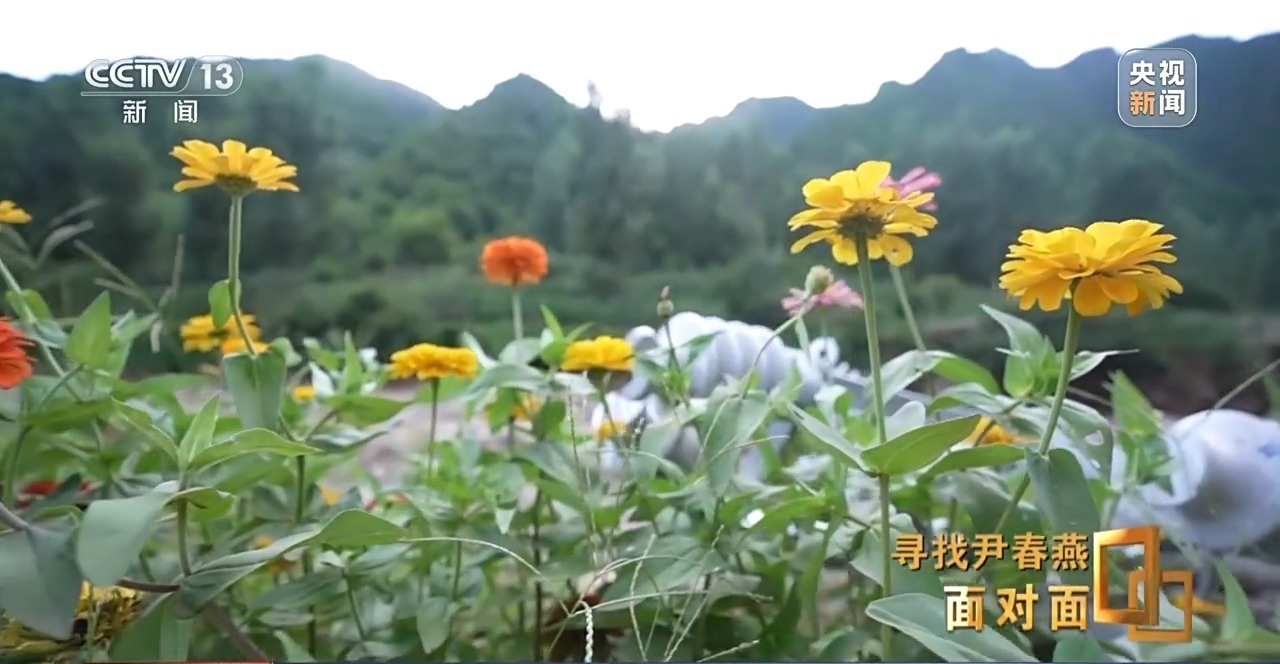 面对面丨心里装着乡亲 暴雨夜她用生命守护生命_面对面丨心里装着乡亲 暴雨夜她用生命守护生命_